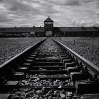The Holocaust: the known, the unknown, the disputed and the re-examined