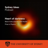 Heart of darkness: black holes and the 2020 Nobel Prize in Physics (2 December 2020)