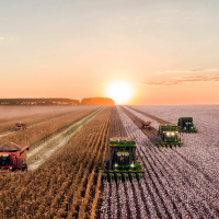 Can we make food security failsafe?