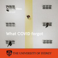 What COVID forgot: orphans of the pandemic response