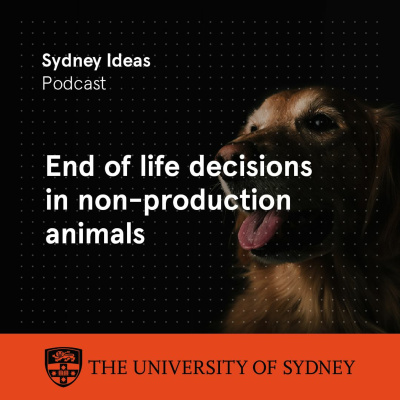 Sydney Ideas