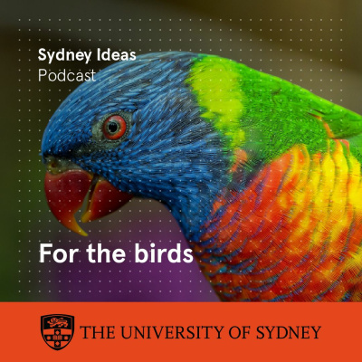 Sydney Ideas