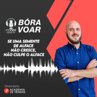 Se uma semente de alface não cresce, não culpe o alface