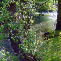 Jännityssarja: Suuri seikkailu 1/5 – Koskenlasku