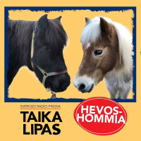Hevoshommia, osa 3/5: ”Se on tyttöjen puuhaa!”