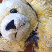 Tarina: Nallen kauhea kohtalo