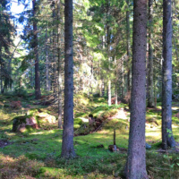 Jännityssarja: Suuri seikkailu 3/5 – Takaa-ajo