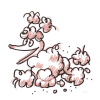 Satu: Seikkailu maailman ääriin