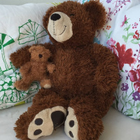 Iltasatu: Eksynyt karhunpoika