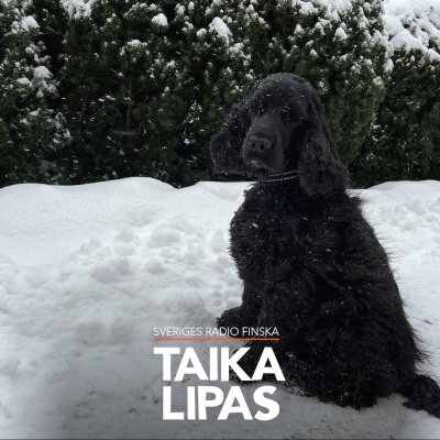 Taikalipas - Satuja Ja Tarinoita Lapsille