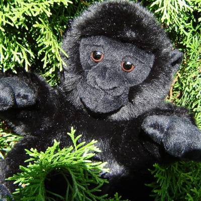 Taikalipas - Satuja Ja Tarinoita Lapsille