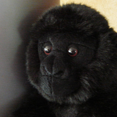 Taikalipas - Satuja Ja Tarinoita Lapsille