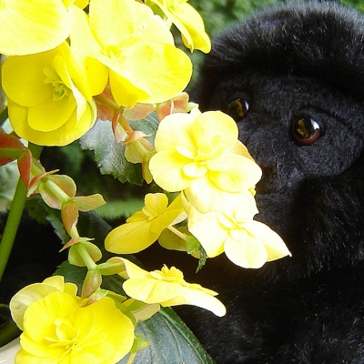 Taikalipas - Satuja Ja Tarinoita Lapsille