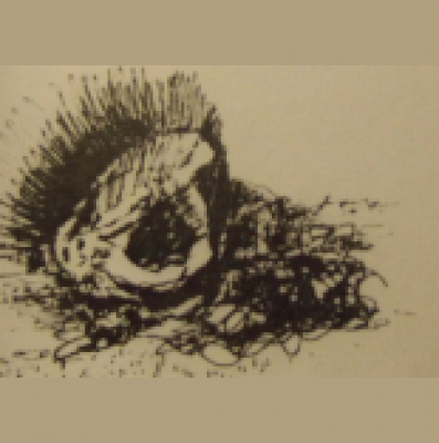 Poetry By Ann Perrin - Poems Read By The Author.