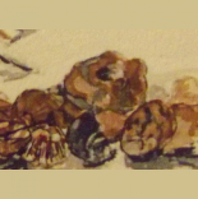 Poetry By Ann Perrin - Poems Read By The Author.