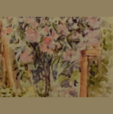 Poetry By Ann Perrin - Poems Read By The Author.