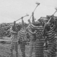 The Rise of the Carceral State: Prisoner Organizing, Politicization, and Surplus Labor