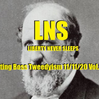 Fighting Boss Tweedyism 11/11/20 Vol.9 #207