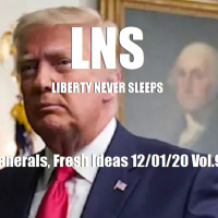 Fresh Generals, Fresh Ideas 12/01/20 Vol.9 #219