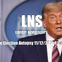 The Election Autopsy 11/12/20 Vol.9 #208