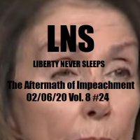 The Aftermath of Impeachment 02/06/20 Vol. 8 #24