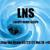 Circling the Drain 02/22/21 Vol.10 #035