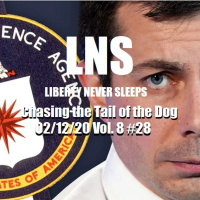 Chasing the Tail of the Dog 02/12/20 Vol. 8 #28