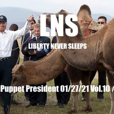 Liberty Never Sleeps