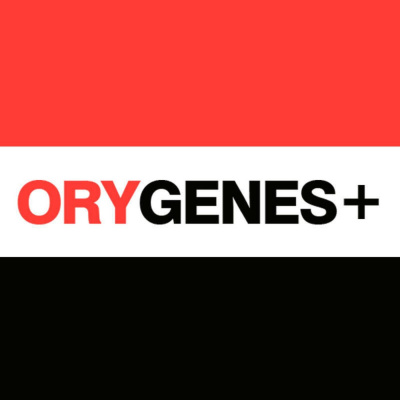 Orygenes+