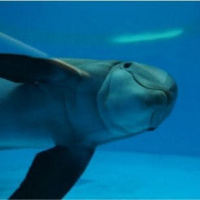 Alien Contact: Part 2 (#016)