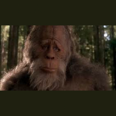 Constant Companion Podcast