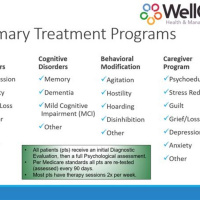 Enhancing the Mental Health of Our Seniors and those with Dementia