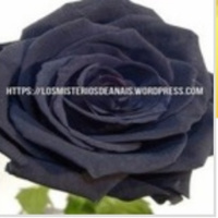 3x1 L.M.D.A ESTRENO. TRAS LA HUELLA DEL MISTERIO/LA HORA 15:64/MENORES TUTELADOS, NEGOCIO