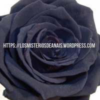 5×1 LOSMISTERIOSDEANAIS: sueños lúcidos/terroresnocturnos/alianzaFranco-Hitler