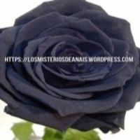 Resumen semanal del canal los misterios de anais 20-26 JULIO 2015