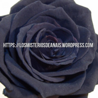 4×1 los misterios de anaÏs especial sol invictos saturnales y navidad.