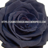 2×1 LOS MISTERIOS DE ANAIS . Encuentros sexuales con fantasmas/LA ROSA NEGRA.