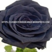 2ºresumen semanal de los misterios de anais 22-28 junio 2015