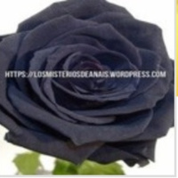 Lmda cronica negra/ profecias/reposicion