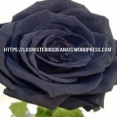 Los Misterios De Anais