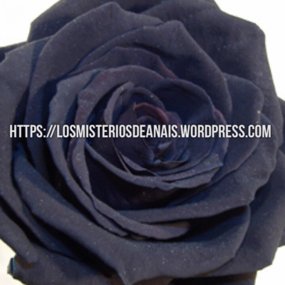 Los Misterios De Anais