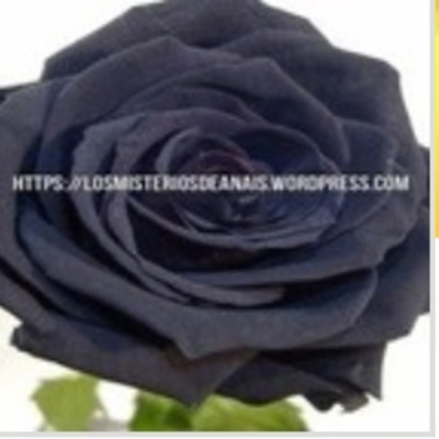 Los Misterios De Anais