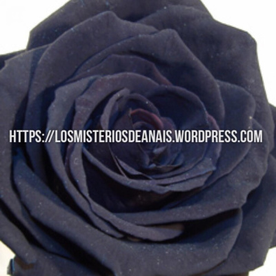 Los Misterios De Anais