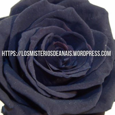 Los Misterios De Anais