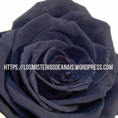 Los Misterios De Anais