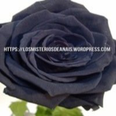 Los Misterios De Anais