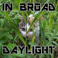 Guess Whos Coming To Space