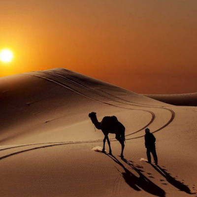 Tomos Y Grapas Cómics