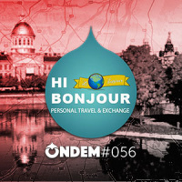 #056 – Hi Bonjour – Personal Travel  Exchange