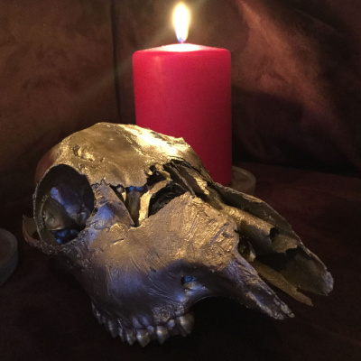 Boneditch By Ian Bird